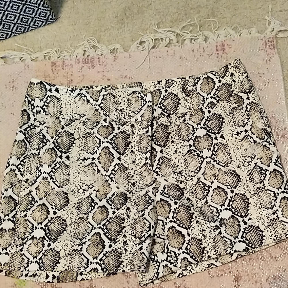 NYCo  Snake print shorts 🤑